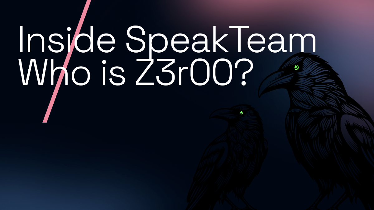 Inside SpeakTeam: Who is Z3r00?